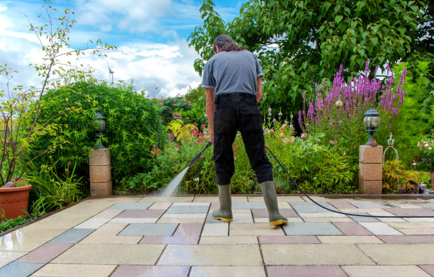 Best Driveway Pressure Washing  in Port Reading, NJ